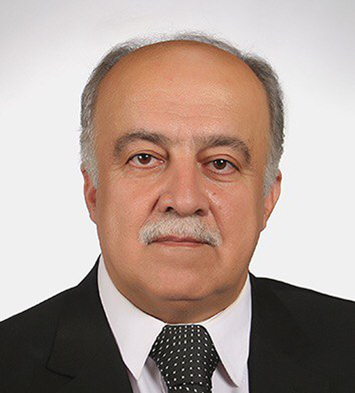 Ramin Saberi